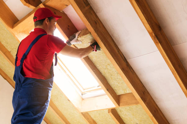 Best Attic Insulation Installation  in Moraine, OH